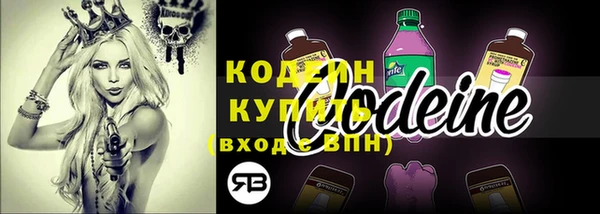 амф Майский