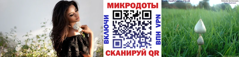 hydra ссылка  Губаха  Галлюциногенные грибы мухоморы  наркотики 